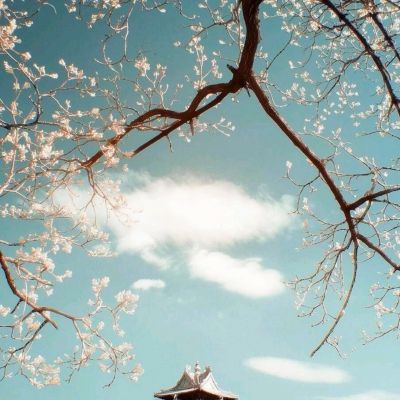 金价涨幅扩大 有关伊朗战争谈判的报道带来喘息之机